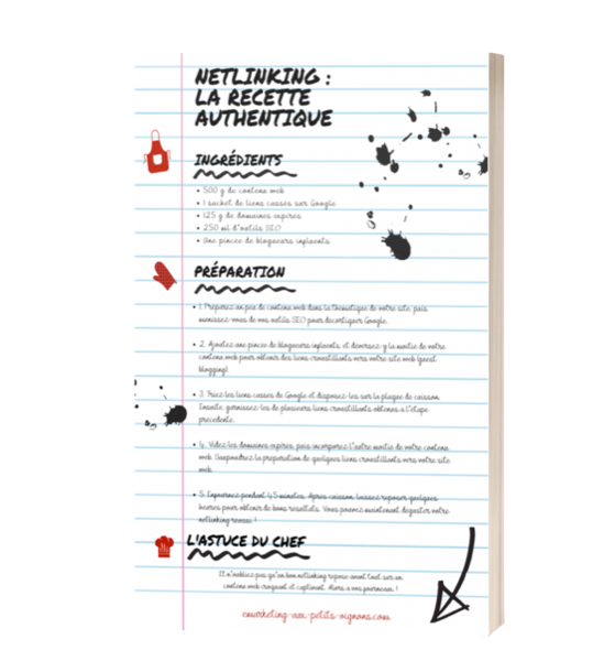 Couverture : Netlinking, la recette authentique