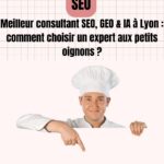 meilleurs consultants seo geo ia lyon