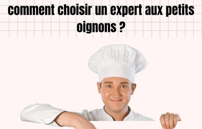 meilleurs consultants seo geo ia lyon