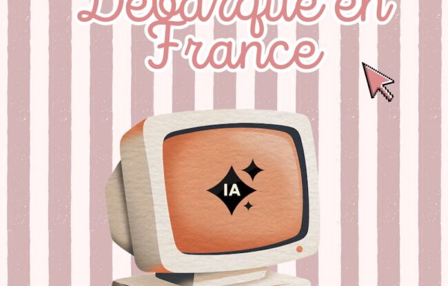 google ai overview france